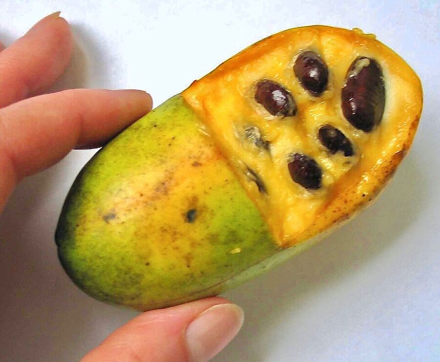 Ripe pawpaw fruit cut open showing custard flesh and large brown seeds